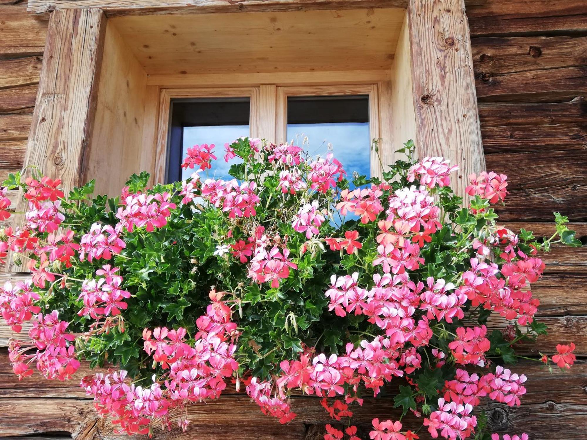 Chambres Et Tables D'Hotes Le Choton A Nono - Col Du Joly Beaufortain Hauteluce Dış mekan fotoğraf