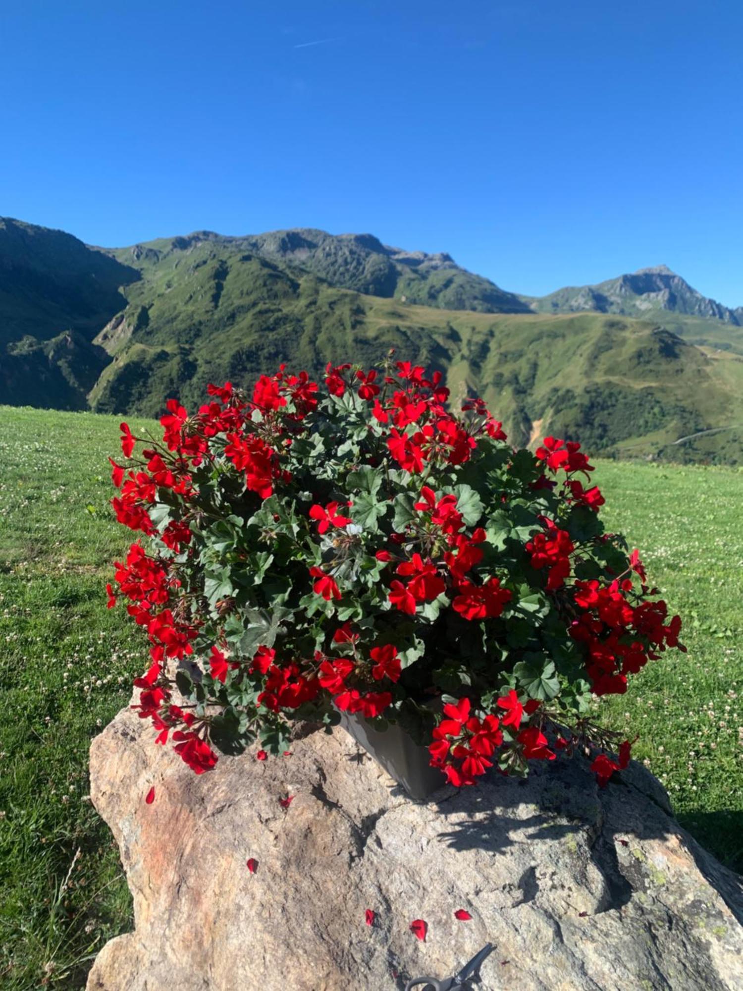 Chambres Et Tables D'Hotes Le Choton A Nono - Col Du Joly Beaufortain Hauteluce Dış mekan fotoğraf